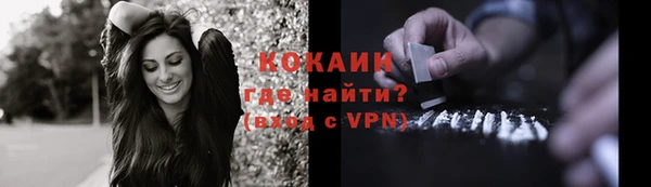 соль ск Гусь-Хрустальный