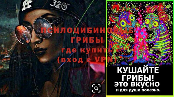 тгк Гусев