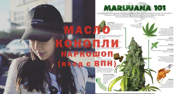 соль ск Гусь-Хрустальный