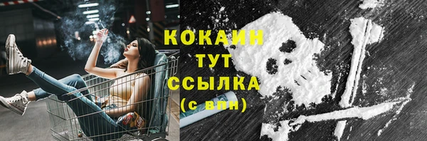 тгк Гусев