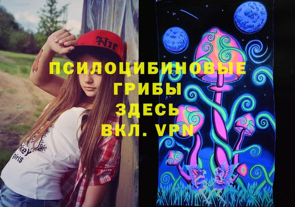 ГАЛЛЮЦИНОГЕННЫЕ ГРИБЫ Гусиноозёрск
