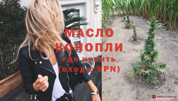 тгк Гусев
