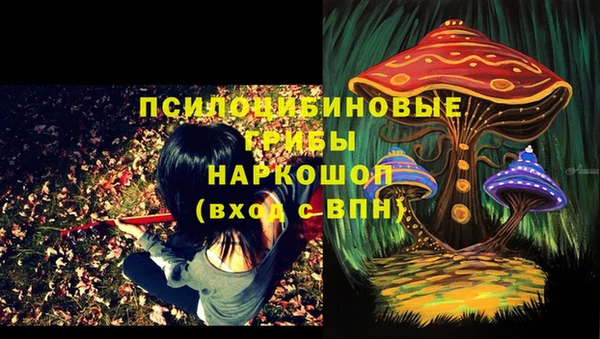 соль ск Гусь-Хрустальный