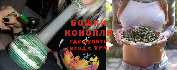 соль ск Гусь-Хрустальный