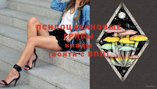 соль ск Гусь-Хрустальный