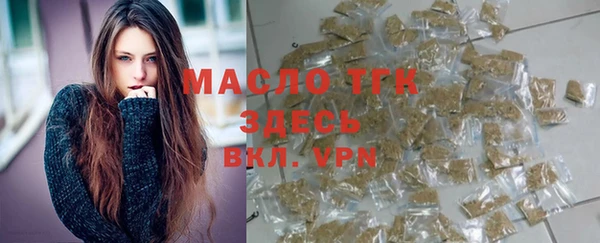 тгк Гусев