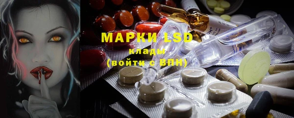 ГАЛЛЮЦИНОГЕННЫЕ ГРИБЫ Гусиноозёрск