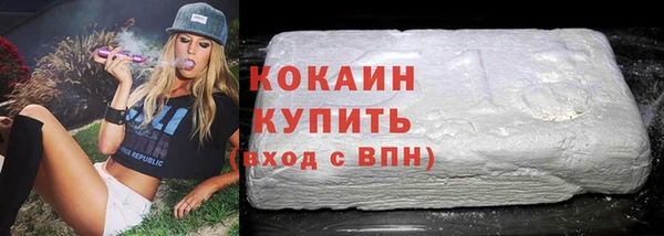 тгк Гусев