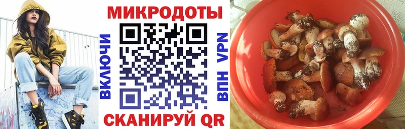 Псилоцибиновые грибы прущие грибы Купить закладки Долгопрудный